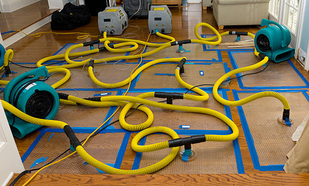 Professional Sewage Cleanup technician working in Warren, NH